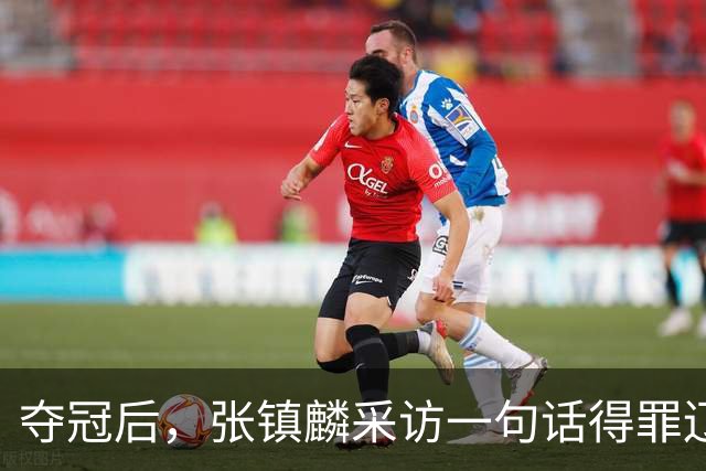 夺冠后，张镇麟采访一句话得罪辽宁！辽蜜：有本事到四川证明价值